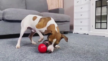 FeedBall - Интерактивна топка за кучета